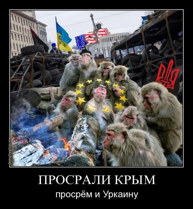 Демотиваторы.