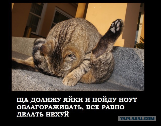Облагораживаем старый ноут