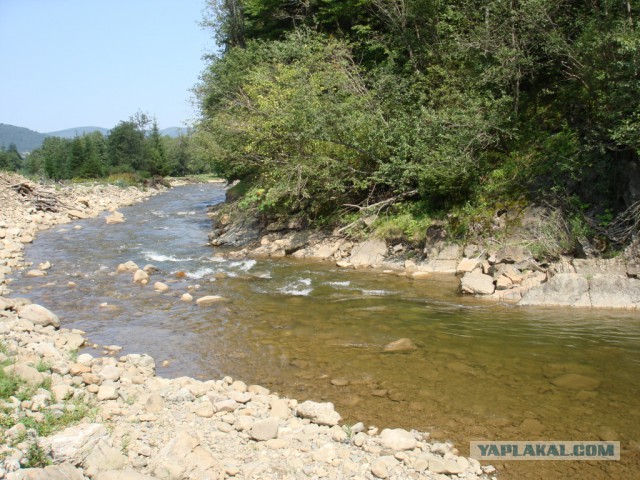 Горганы