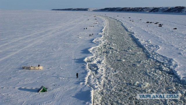 Самыи мощный ледокол