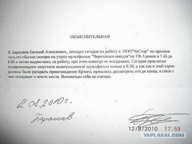 Эти люди знают, как писать объяснительные
