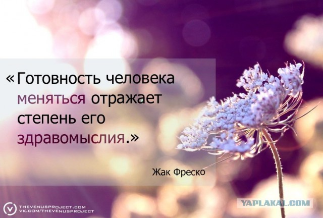 Вегетарианство