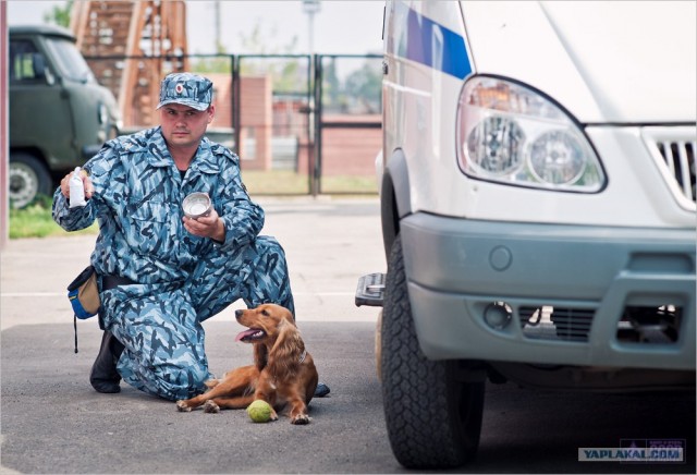 Центр кинологической службы Упр-ния на транспорте