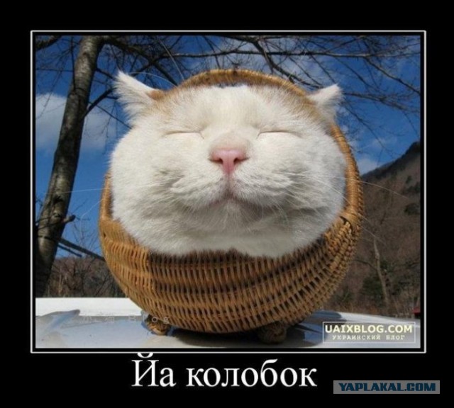 Спорим, вы не знали...