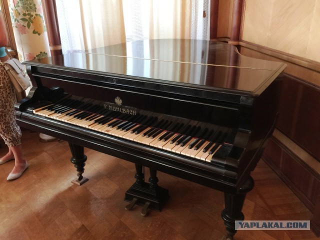 Абхазия, пансионат "Самшитовая роща"