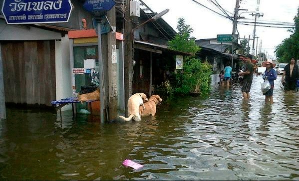 Затопленный аэропорт в Тайланде