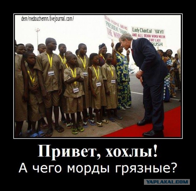 Снова Янтарная лихорадка в,(на)Украине...