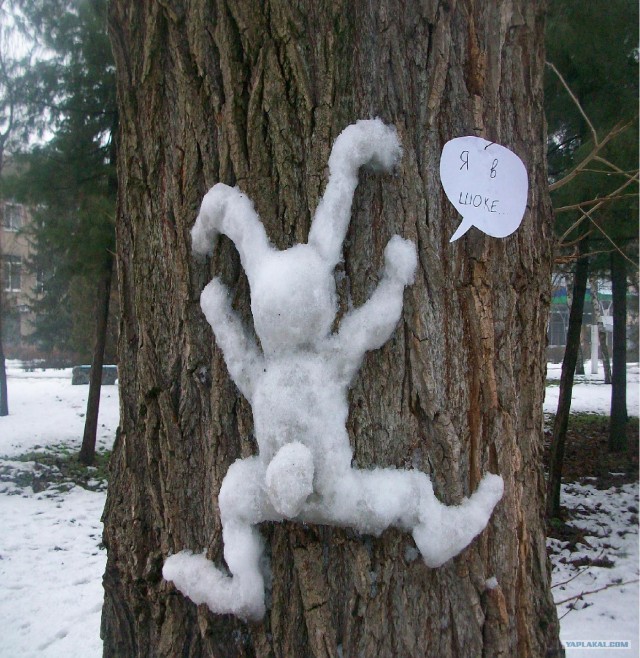 Заяц лезет на дерево