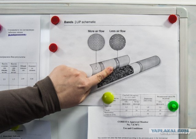 Как в Беларуси делают сигареты: репортаж