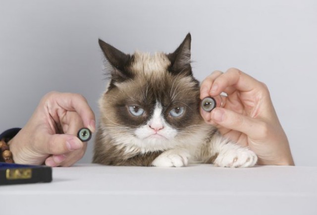 Подборка самых интересных снимков