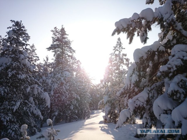 Я узнал, что у меня есть огромная семья