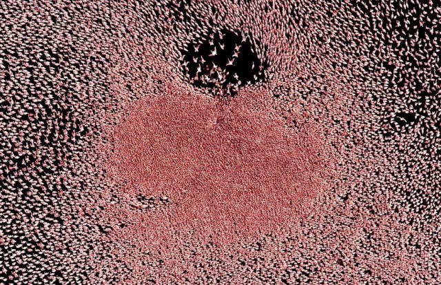 Мир без фотошопа