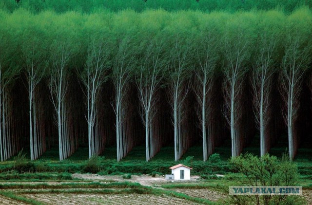 Перфекционизм в жизни