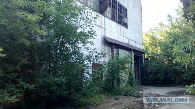 Белоруссия готова продать России Минский завод колесных тягачей
