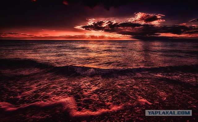 Подборка смешных, не очень и просто красивых фотографий