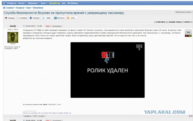 Служба безопасности Внуково не пропустила врачей к умирающему пассажиру