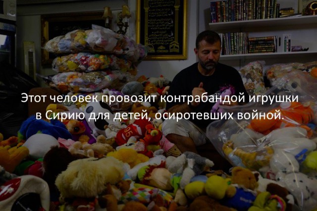 44 интересных факта в картинках