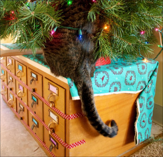 Коты из сети