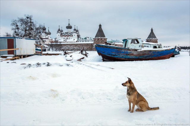 Соловки, которые не показывают