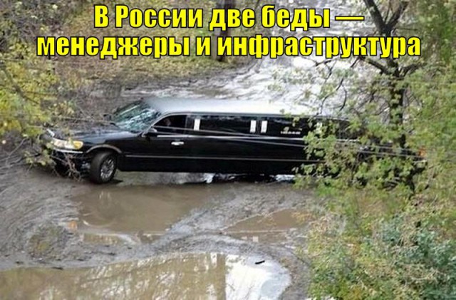 Саркастическая подборка