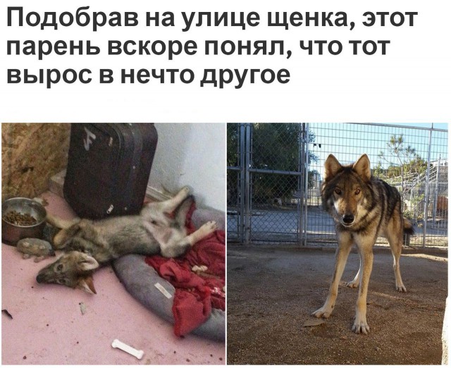 Подборка безудержного веселья