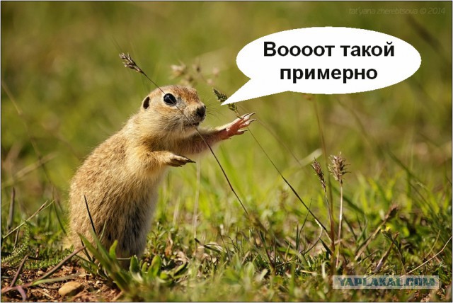 Когда тебе 30, а ты до сих пор не замужем