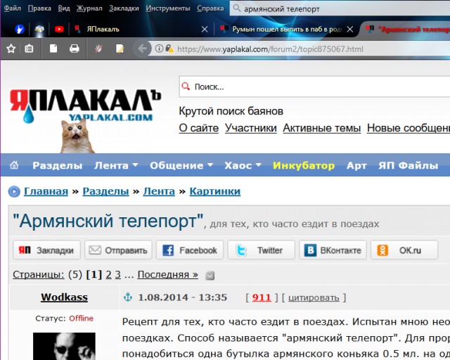 Румын пошел выпить в паб в родной деревне, а проснулся в Лондоне