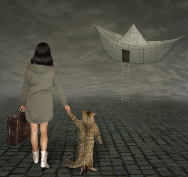 С котом по жизни