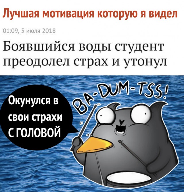 25 картинок в эту чёрную пятницу