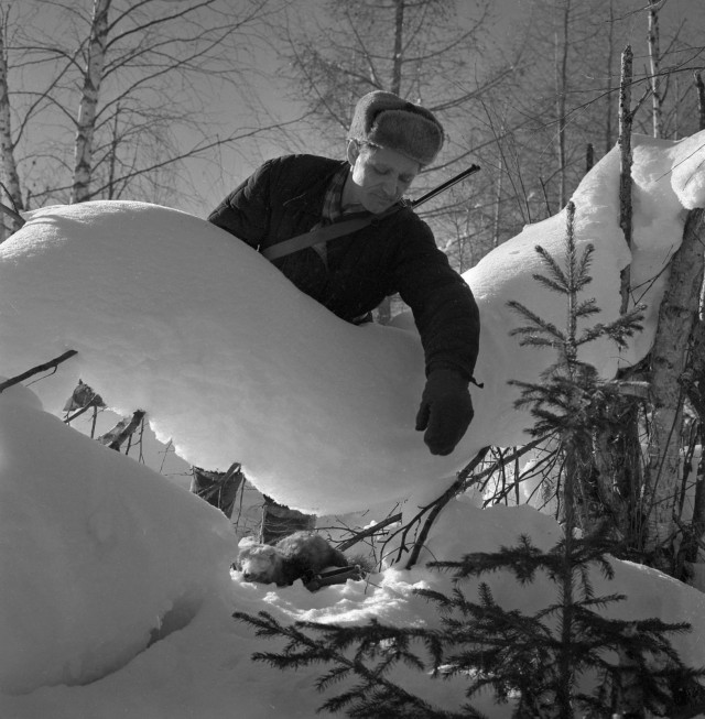 1950-е. Охота в Сибири на фотографиях Марка Степановича Редькина