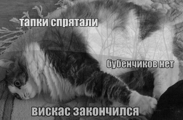 Чёрный, очень чёрный понедельник...