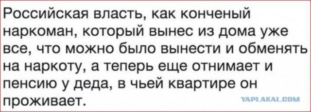 Дорогие борцы с режимом, старайтесь больше времени уделять учебе и работе.
