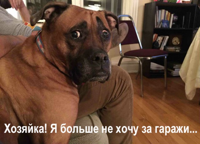 Как я случайно спалил жену