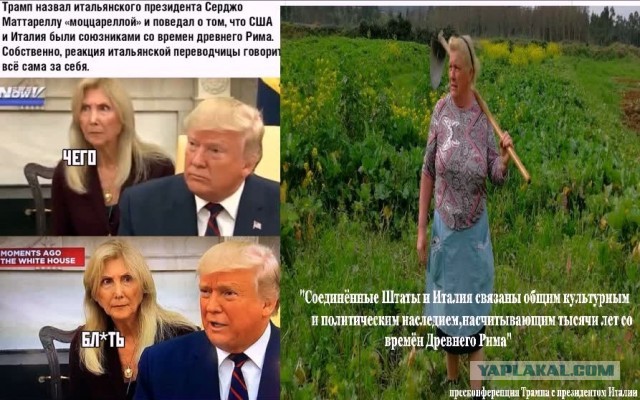 Немного картинок для настроения 18.10.19