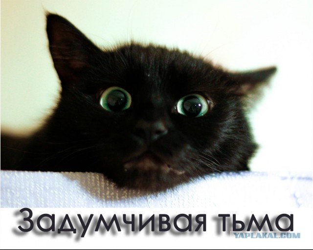 Paзнoвиднocти тьмы