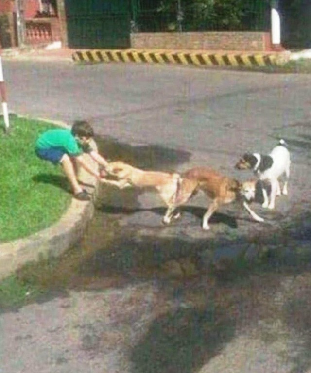 Поезд дальше не идёт