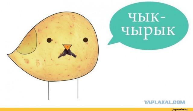 Чуток картинок 26.05.20