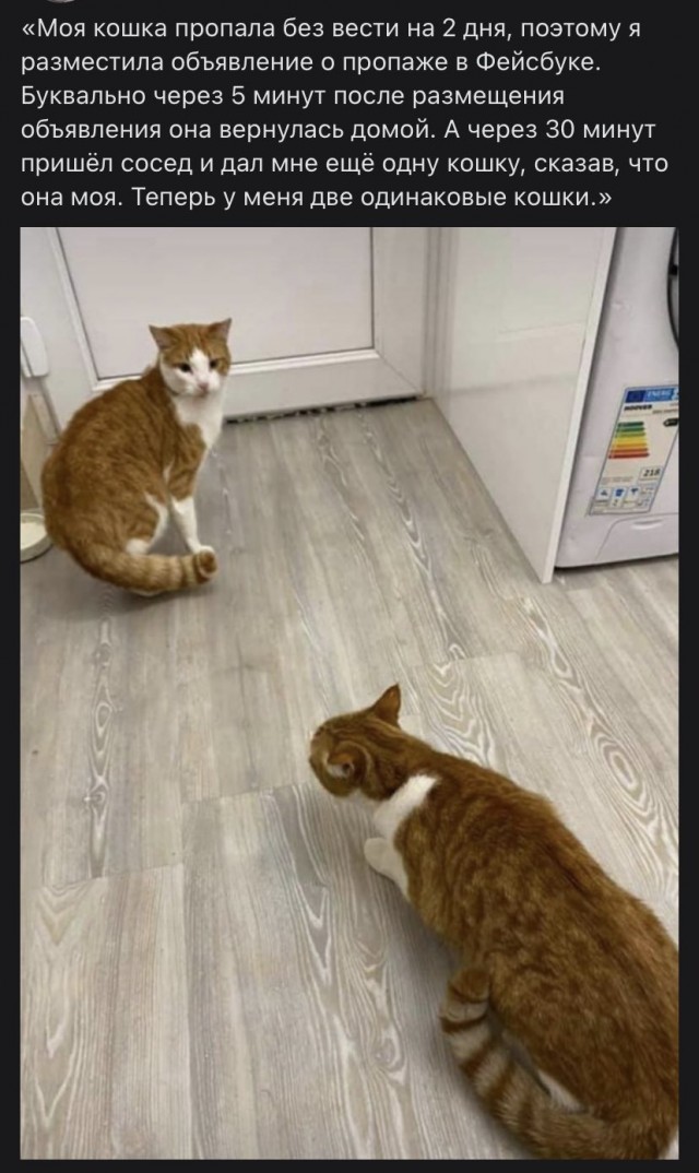 Бур короля Артура