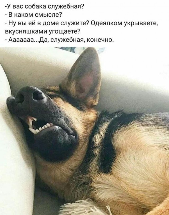 Так себе картинки 01.03.2021