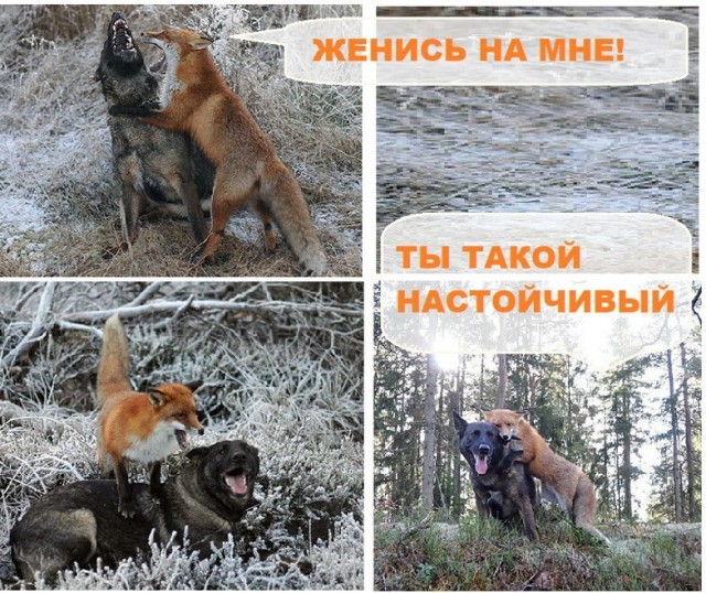 Картинки разные