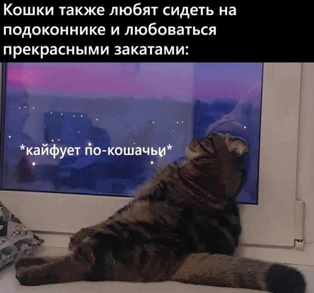 Картинки и мемы для настроения 17.08.2021