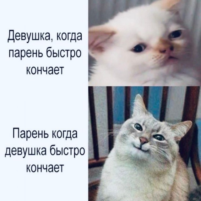 Пятница. И немного слегка пошлых картинок с надписями и без 16+ (27.08)