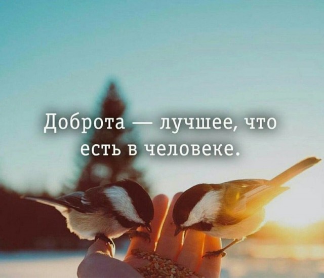 День"В"
