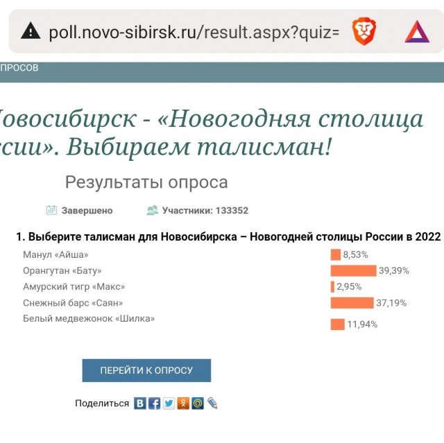 Медвежонок против орангутана: мэрию Новосибирска обвинили в коррупции на выборах новогоднего талисмана города