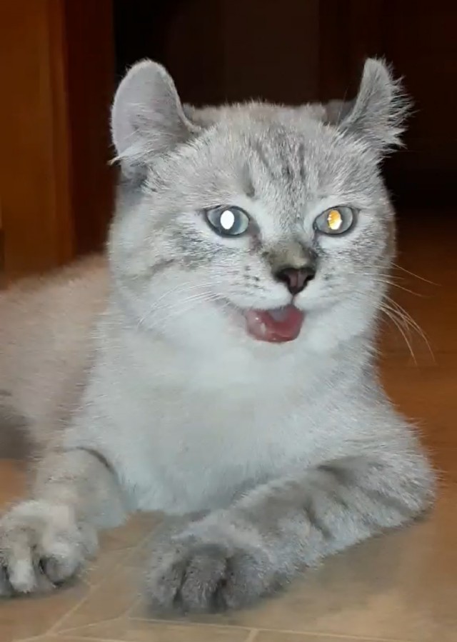 Котовторниковское
