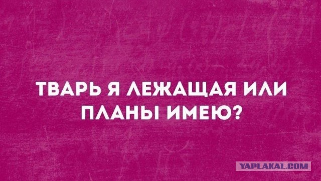А чему тут многие радуются?