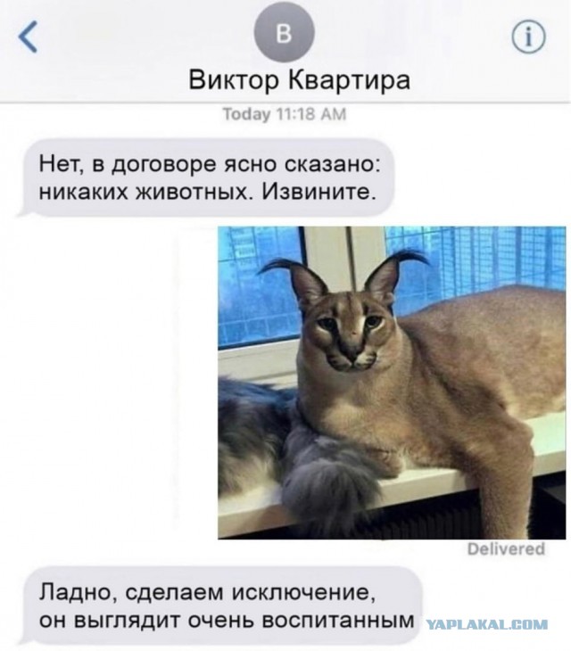 Картинки аморальные и всякие разные - 26