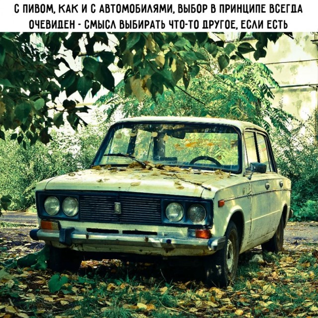 Весёлый полтишок 06.04.22