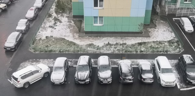 Шел третий день июнобря. С картинками