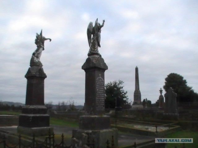 На машине по Новой Зеландии